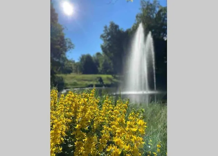 Schoenes Ruhiges App Mit Panoramablick Auf Den Harz