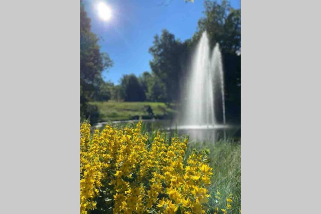 Appartamento Schoenes Ruhiges App Mit Panoramablick Auf Den Harz