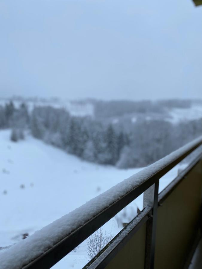 Schoenes Ruhiges App Mit Panoramablick Auf Den Harz Appartamento *